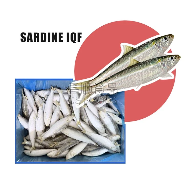 Land Frozen Sardine Fish