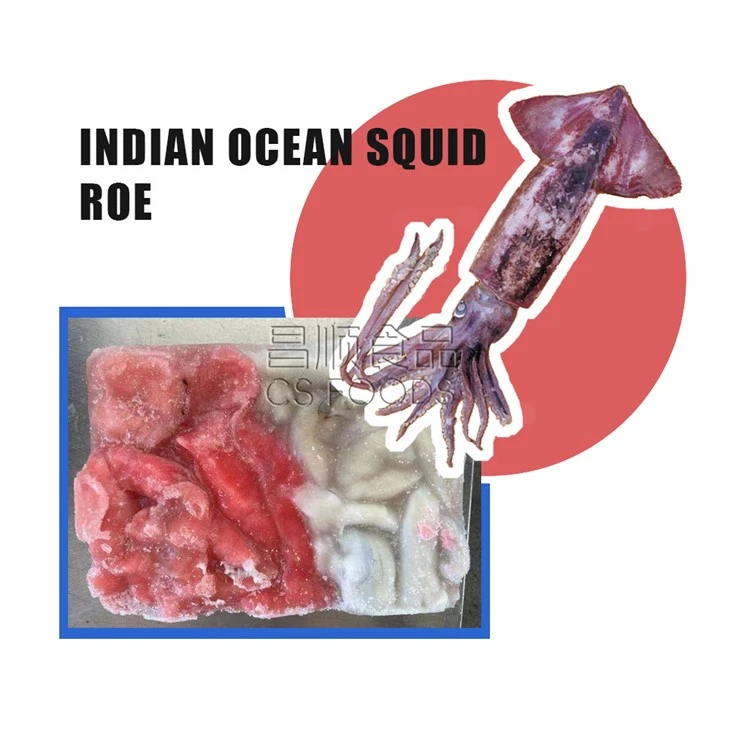 Whole Round Frozen Indian Ocean Squid Roe